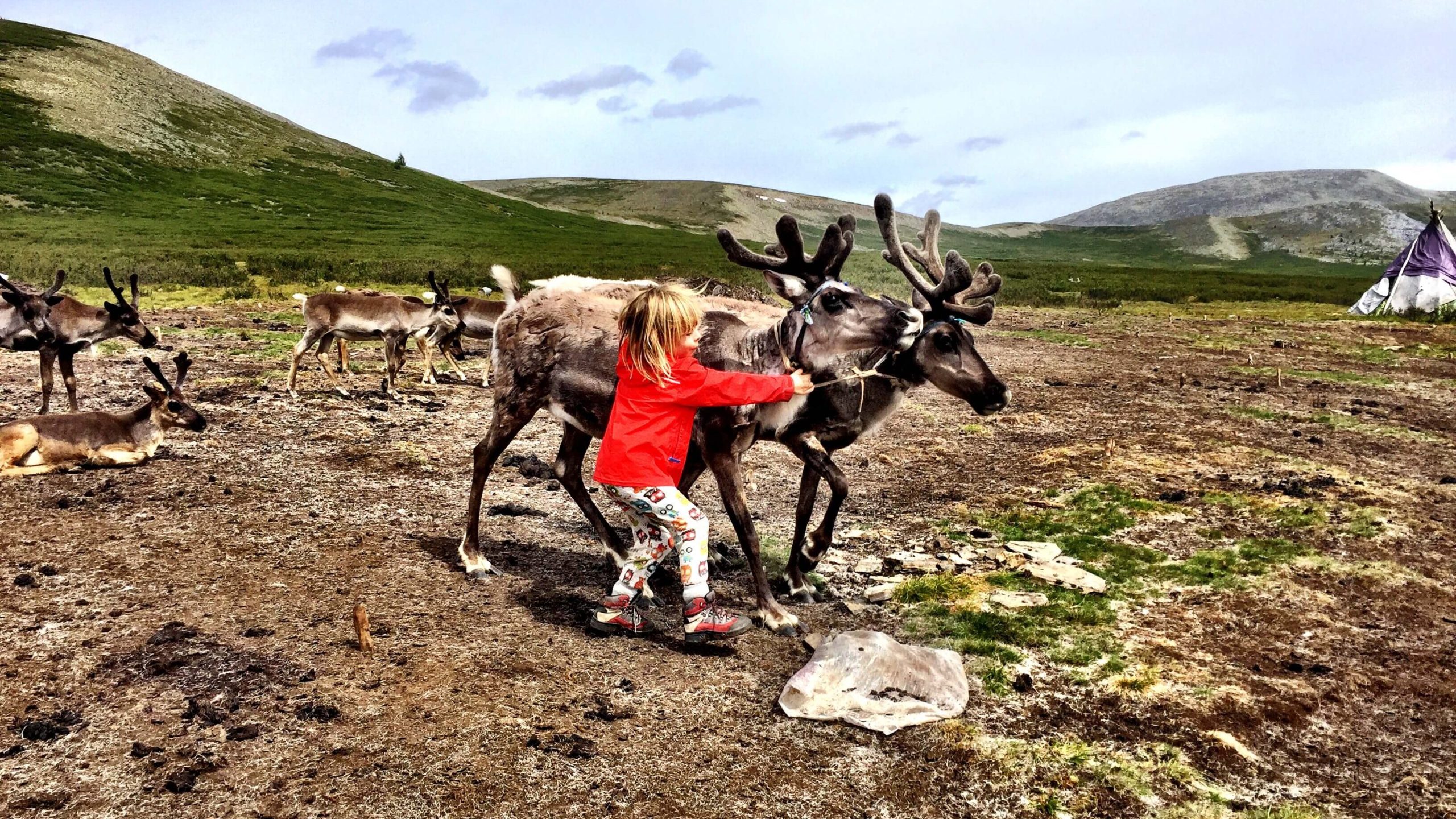 Mongolei mit Kind - Max mit Rentier in der Mongolei