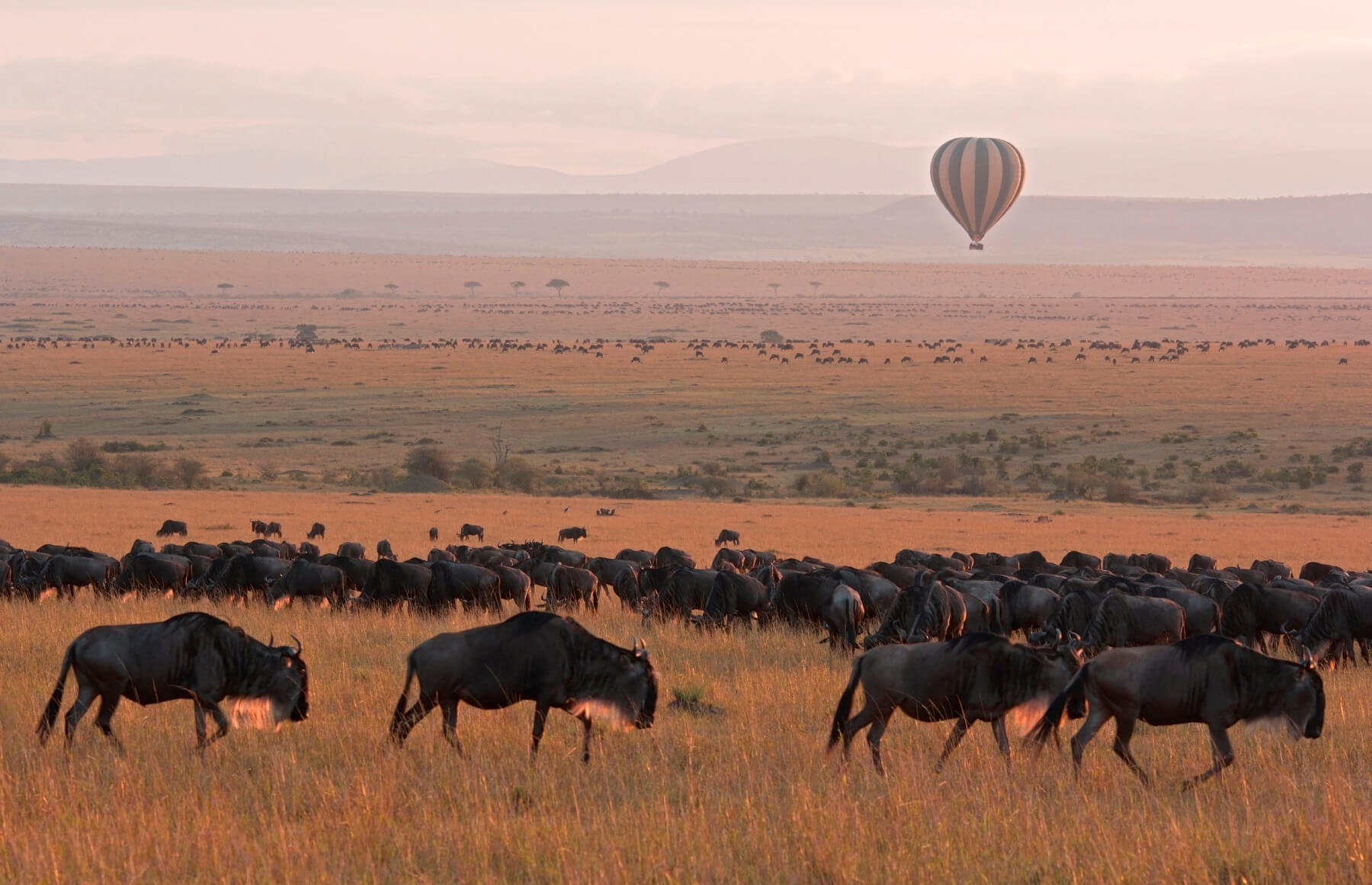 Ballonfahrten über der Masai Mara