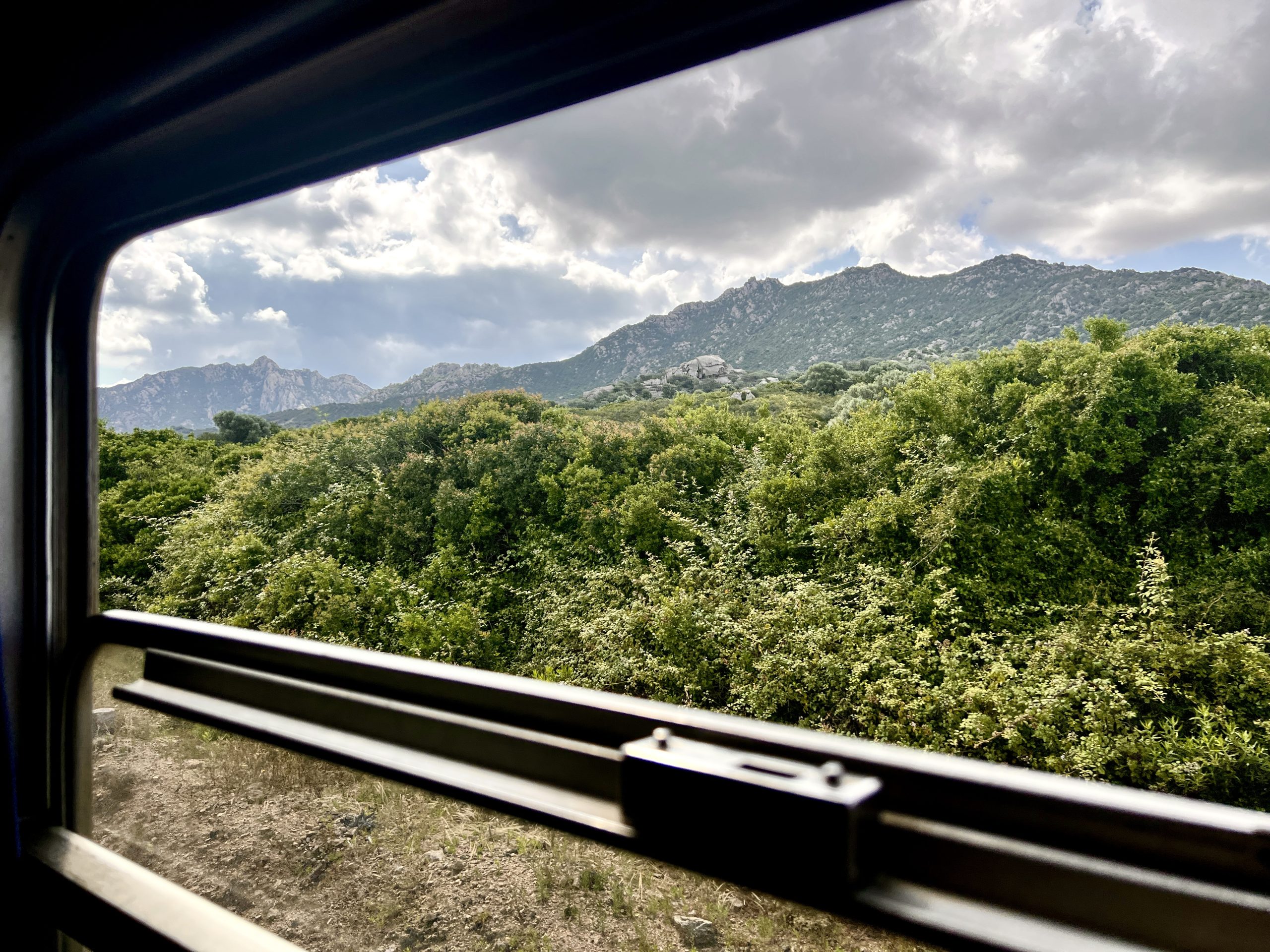 Blick aus dem Zug