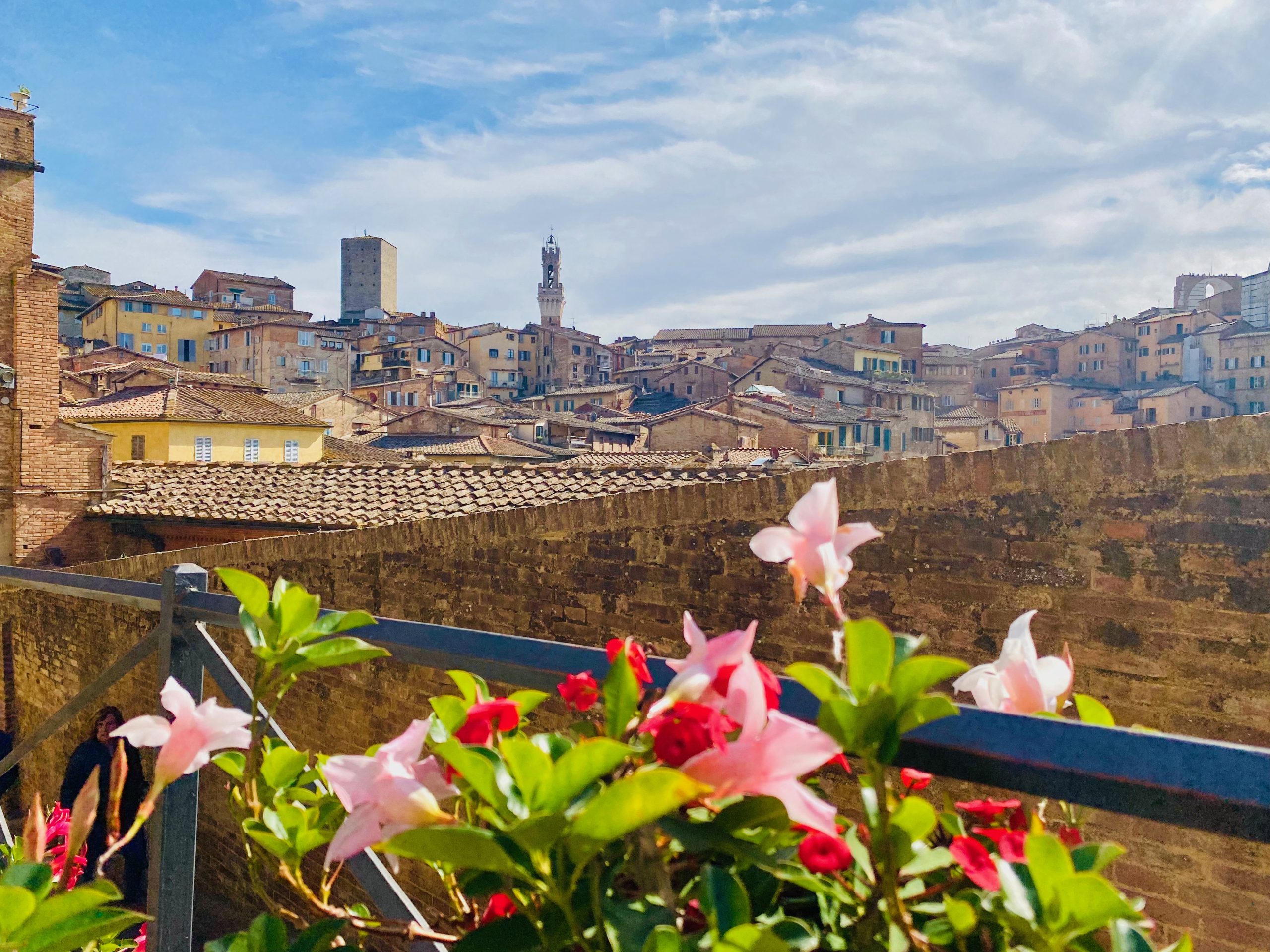 Blick über die Altstadt von Siena