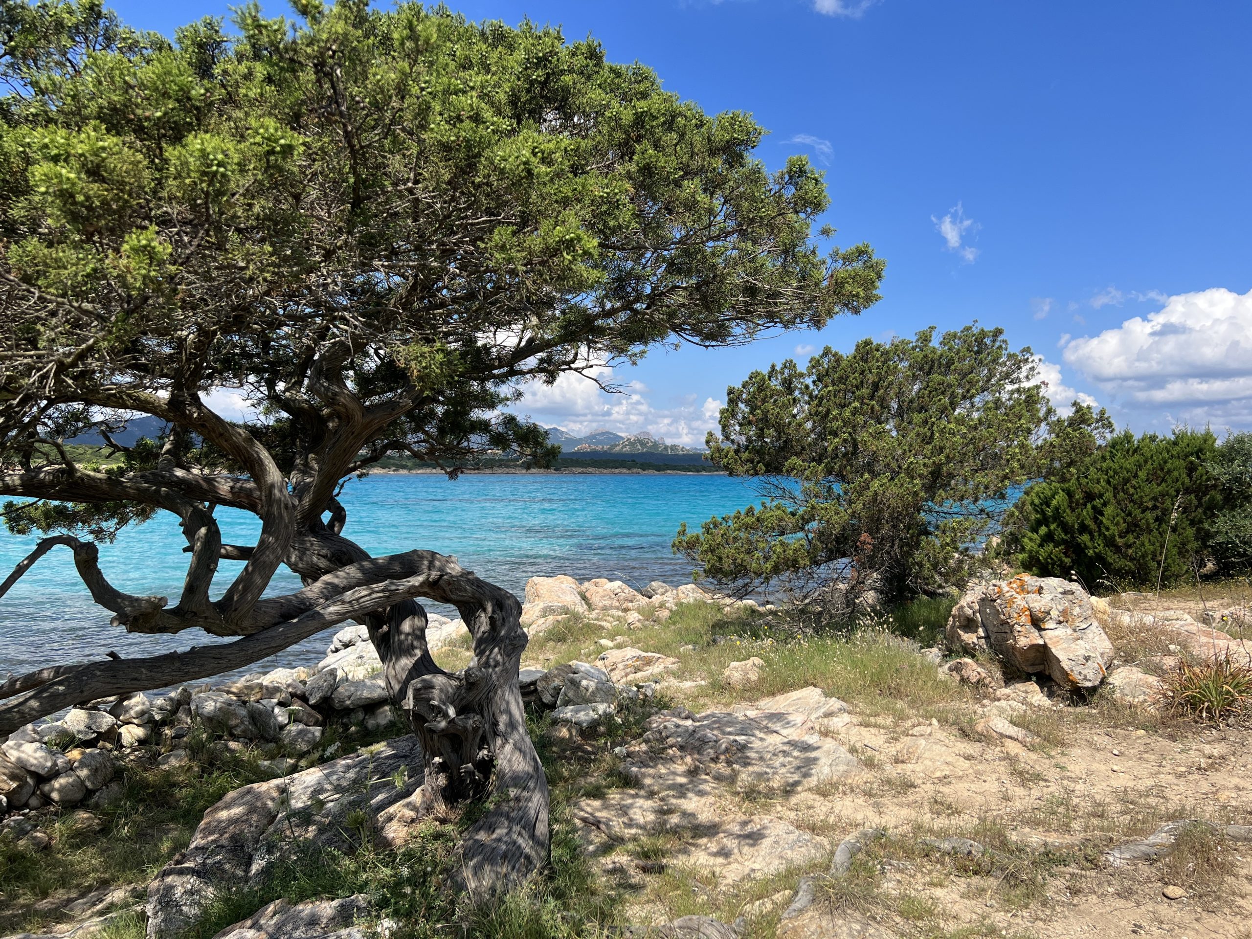 Sardinien - Cala Sabina