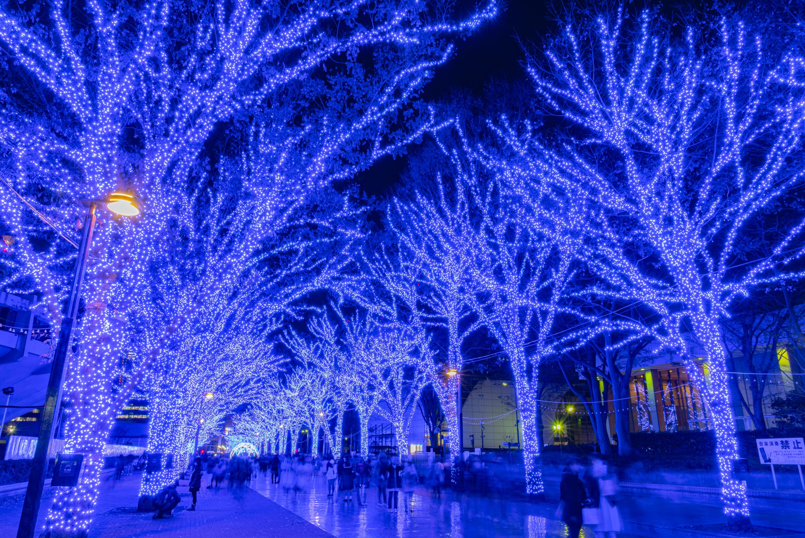 Winterbeleuchtung in Tokyo