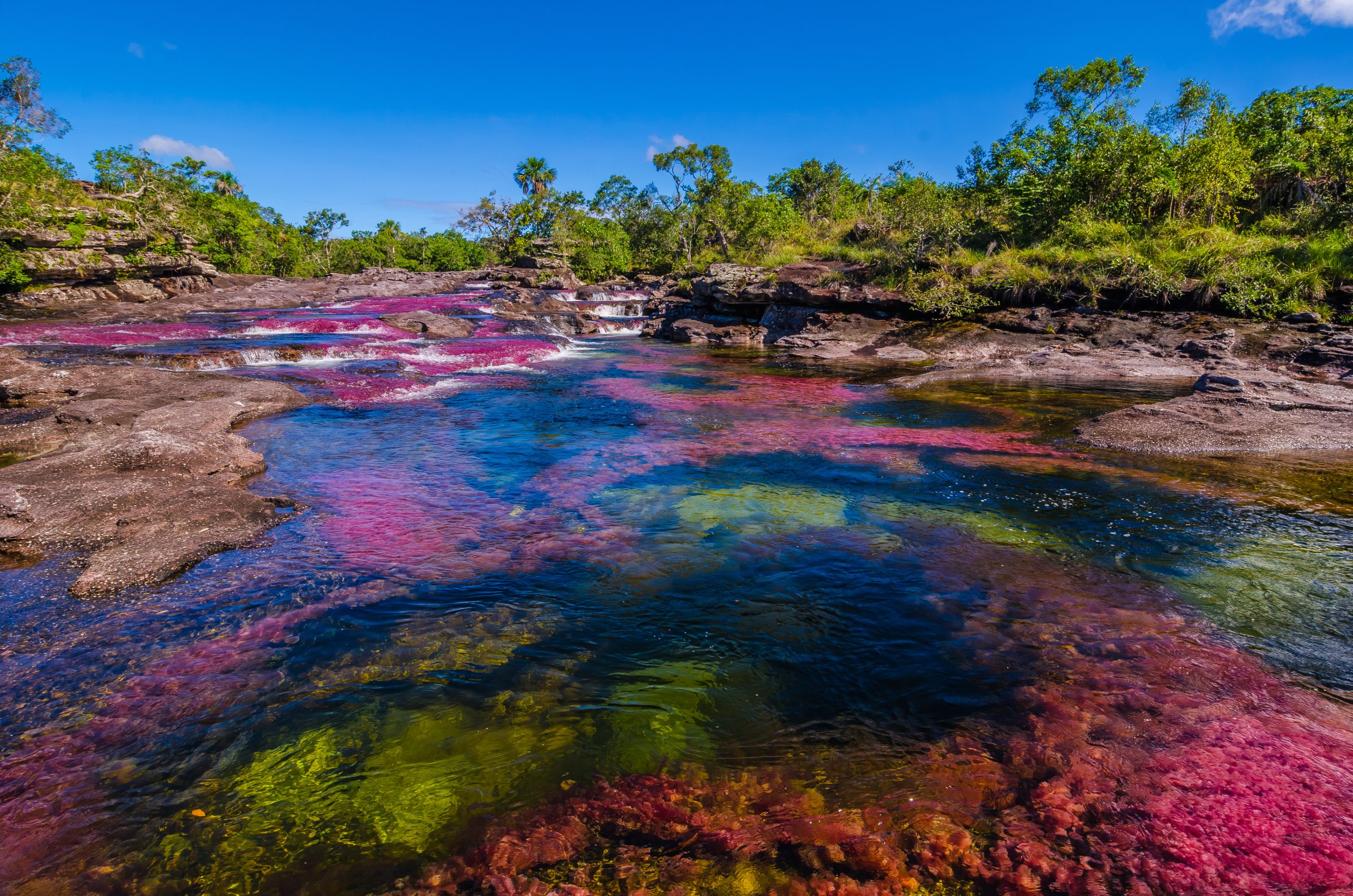 Bunte Reiseziele in Kolumbien - der Fünf-Farben-Fluss Caño Cristales im Nationalpark Serranía de la Macarena