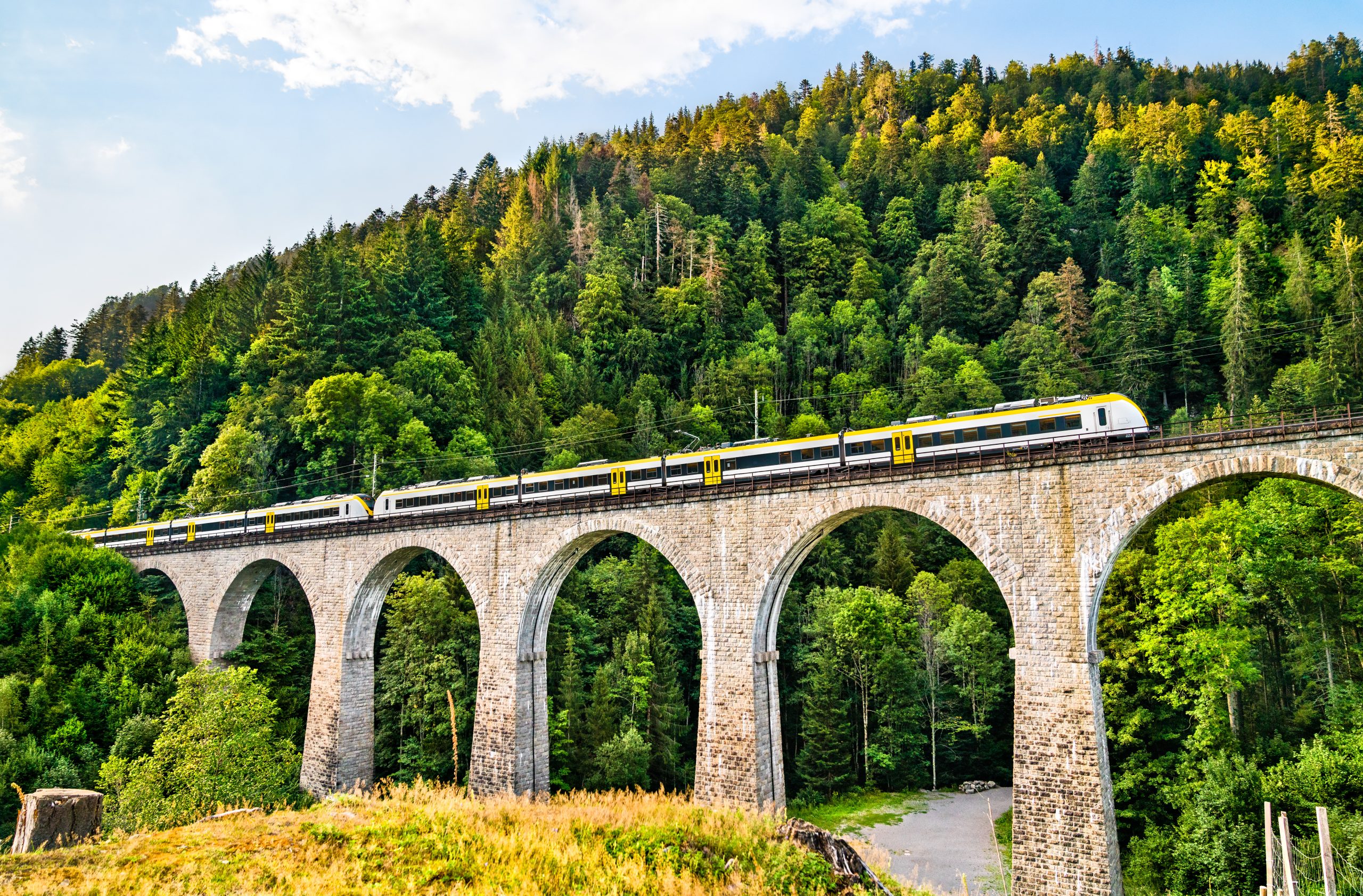 Zugstrecken Deutschland - Höllentalbahn auf der Ravennabrücke im Scharzwald
