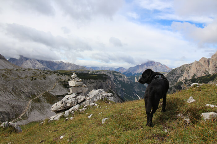 Mit dem Hund in den Bergen