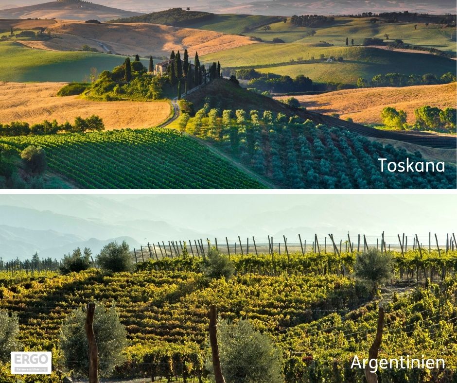 Reisezwillinge Weinberge in der Toskana und Argentinien